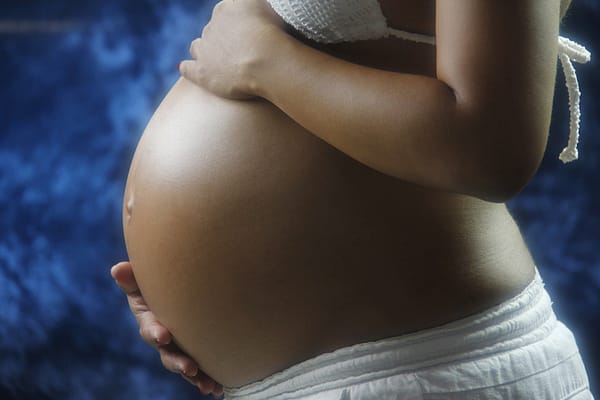 Natural Birth Labor Doula 1