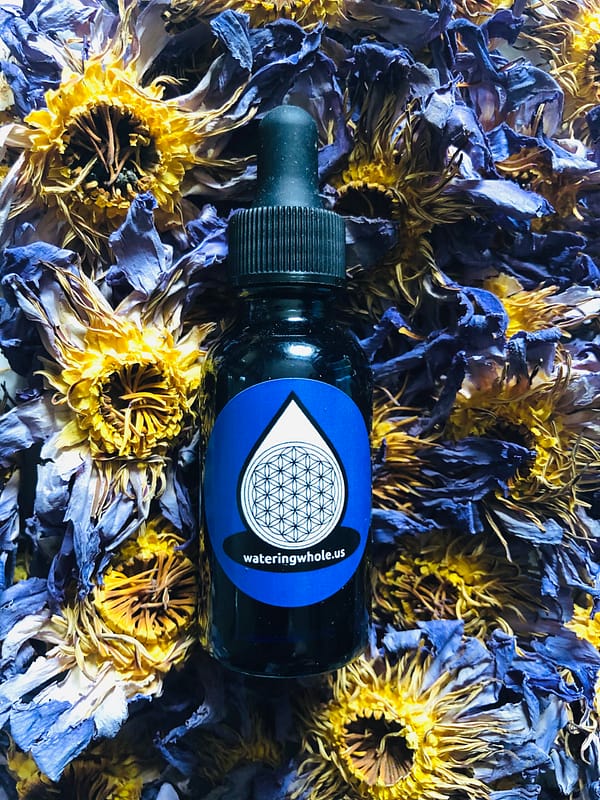 Blue Lotus Tincture 1oz