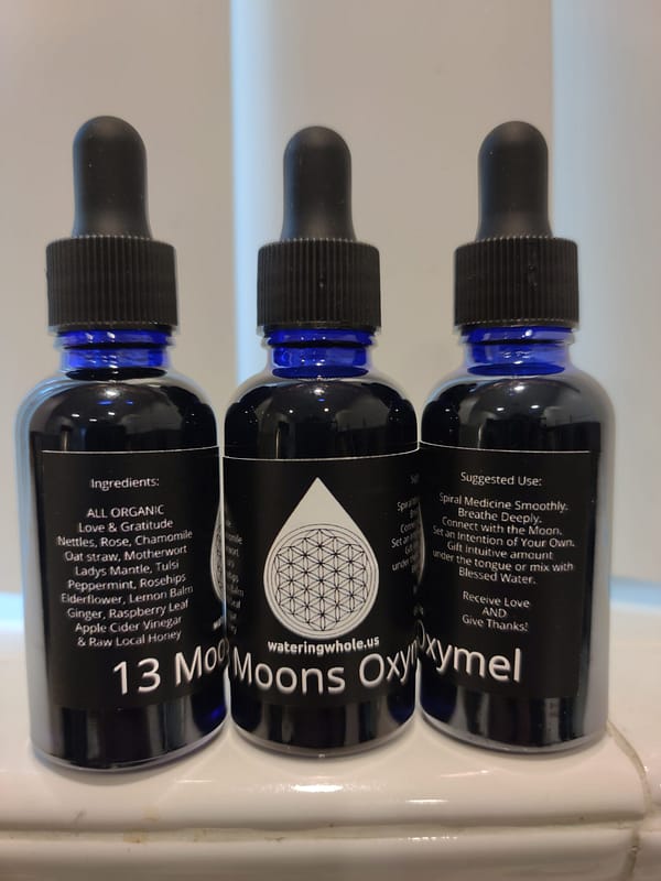 13 Moons Oxymel